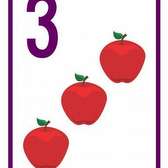 Assortimentsprofiel 03